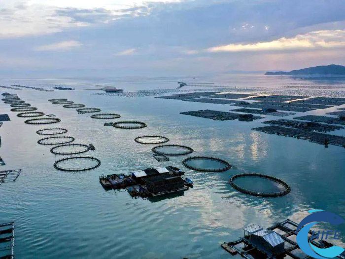 2024年海南三亞漁業(yè)博覽會時間和地點