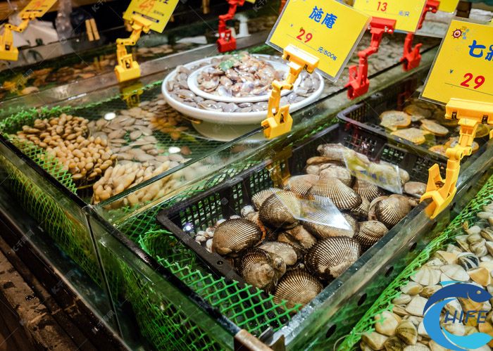 2024海南三亞漁業(yè)博覽會有什么展品類別？