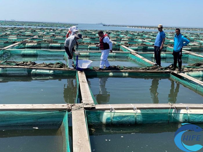 2024海南漁業(yè)博覽會對海南漁業(yè)的技術創(chuàng)新和應用有何促進