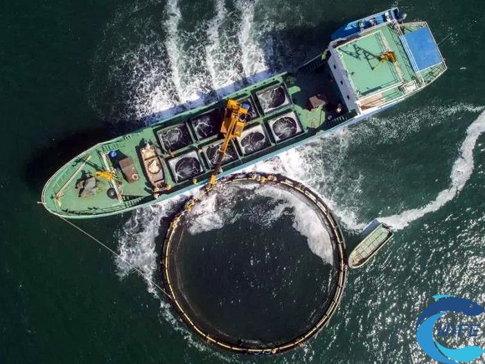 2024海南水產養(yǎng)殖博覽會有哪些相關活動和項目？
