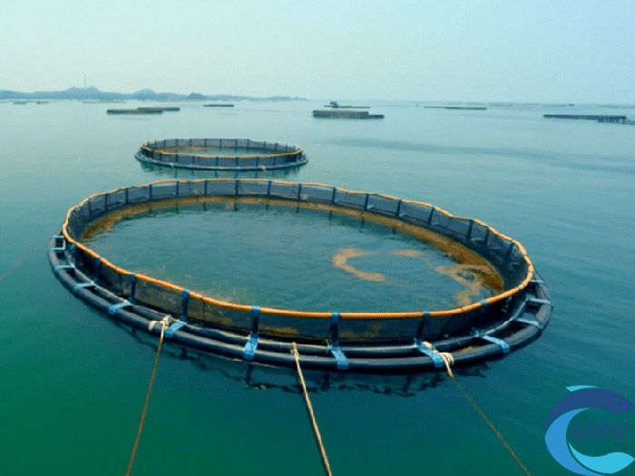 2024海南水產養(yǎng)殖博覽會對提升水產養(yǎng)殖業(yè)發(fā)展有何作用？