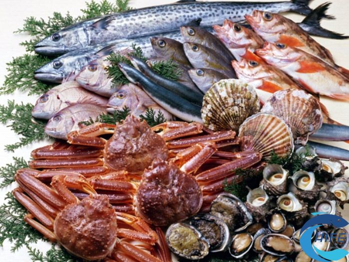 2024海南水產品食材展覽會時間和地點