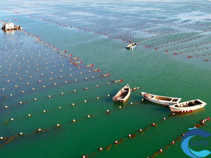 海南省在推動漁業(yè)高質(zhì)量發(fā)展方面還有哪些具體措施