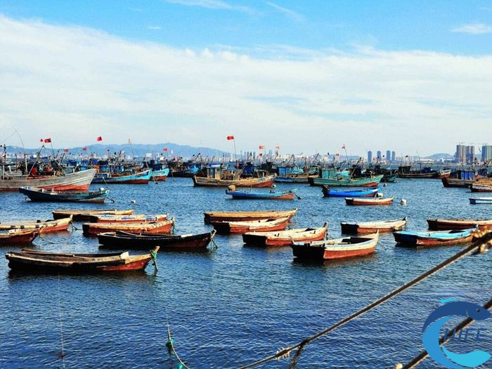 海南省休閑漁業(yè)發(fā)展規(guī)劃的具體實(shí)施計劃是什么