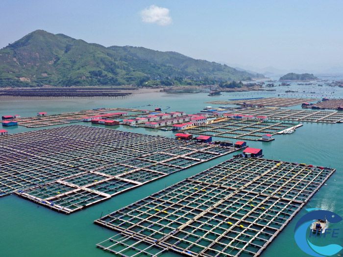 海南省關(guān)于海洋牧場的扶持政策