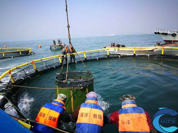 海南省舉辦的活動對漁業(yè)發(fā)展有何影響